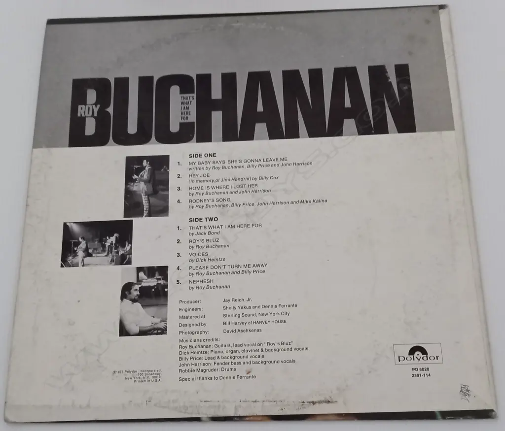 Roy Buchanan, That's What I Am Here For Image 1++